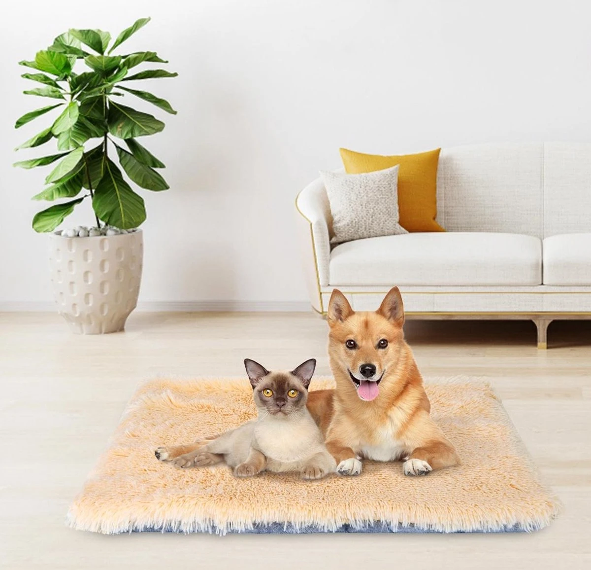 Nobleza Fluffy Benchkussen - Dierenkussen - Hondenkussen - Kattenkussen - Benchmat - Dierenmat - Hondenmat - Kattenmat - Crème - Maat L 9 Nobleza Fluffy Benchkussen - Dierenkussen - Hondenkussen - Kattenkussen - Benchmat - Dierenmat - Hondenmat - Kattenmat - Crème - Maat L - Afbeelding 9