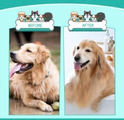 Nobleza 3 Delige Hondenborstel Set – Hondenkam - Kattenkam - Borstels – Dierverzorging - Dierenverzorging - Blauw 10 Nobleza 3 Delige Hondenborstel Set – Hondenkam - Kattenkam - Borstels – Dierverzorging - Dierenverzorging - Blauw -Honden Huis Winkel 1200x1157