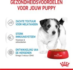 Royal Canin Shn Mini Puppy Pouch - Hondennatvoer - 12 X 85 G -Honden Huis Winkel 1200x1159 13
