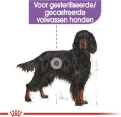 Royal Canin Sterilised Maxi - Hondenvoer - 12 Kg -Honden Huis Winkel 1200x1160 2