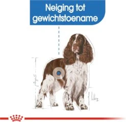 Royal Canin Light Weight Care Medium - Hondenvoer - 12 Kg -Honden Huis Winkel 1200x1160 4