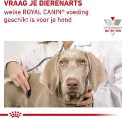Royal Canin Renal - Hondenvoer - 7 Kg -Honden Huis Winkel 1200x1161 7
