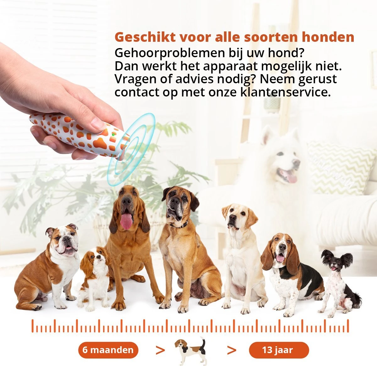 Merkloos LotaHome - Anti Blaf Apparaat - Hondentrainer Voor Binnen En Buiten - Bereik Tot 15 Meter - Diervriendelijk - Zonder Schok - Ultrasone - Voor Alle Honden - Inclusief Clicker 3 Merkloos LotaHome - Anti Blaf Apparaat - Hondentrainer Voor Binnen En Buiten - Bereik Tot 15 Meter - Diervriendelijk - Zonder Schok - Ultrasone - Voor Alle Honden - Inclusief Clicker - Afbeelding 3