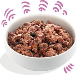 Edgard & Cooper Wild & Eend Blik - Voor Volwassen Honden - Hondenvoer - 12 X 400g -Honden Huis Winkel 1200x1166 8