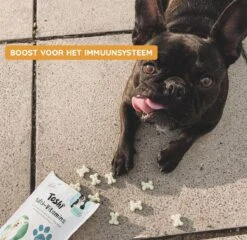 Toshi Multi Vitaminen Met Omega-3 - 100% Natuurlijke Hondensnack Voor Kleine En Grote Honden - Hondenkoekjes Voor Een Gezonde Levensstijl -Honden Huis Winkel 1200x1167 11