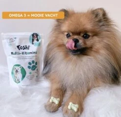 Toshi Multi Vitaminen Met Omega-3 - 100% Natuurlijke Hondensnack Voor Kleine En Grote Honden - Hondenkoekjes Voor Een Gezonde Levensstijl -Honden Huis Winkel 1200x1167 9