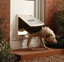 Petsafe 760 Hondenluik - L - Wit - 37 X 31,4 Cm 22 Petsafe 760 Hondenluik - L - Wit - 37 X 31,4 Cm -Honden Huis Winkel 1200x1168 7