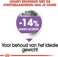 Royal Canin Sterilised Maxi - Hondenvoer - 12 Kg -Honden Huis Winkel 1200x1169 4