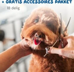 Pawwy Dieren Tondeuse Set Draadloos Voor Honden En Katten – Voor Dikke Vacht - Hondentondeuse – Hondentrimmer - Scheerapparaat - Goud -Honden Huis Winkel 1200x1170 2