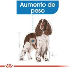 Royal Canin Light Weight Care Medium - Hondenvoer - 12 Kg -Honden Huis Winkel 1200x1172 3