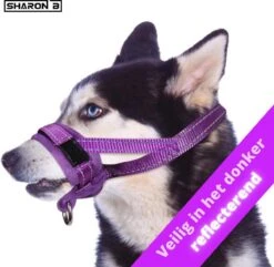 Sharon B Muilkorf Paars Maat M - Fleece - Wasbaar - Reflecterend -Honden Huis Winkel 1200x1173 5