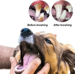 Doodadeals® 4 Stuks Siliconen Honden Tandenborstel - Tanden Borstel Hond - Silicone Dog Tootbrush - Multikleur 9 Doodadeals® 4 Stuks Siliconen Honden Tandenborstel - Tanden Borstel Hond - Silicone Dog Tootbrush - Multikleur -Honden Huis Winkel 1200x1175 6