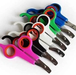 Doodadeals® | Nagelschaar Kat | Nagelschaar Hond | Nagelschaar Konijn | Nagelschaar Cavia | Multi Color | 1 Stuk -Honden Huis Winkel 1200x1178 4