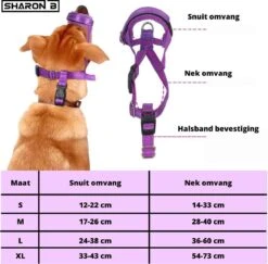 Sharon B Muilkorf Paars Maat M - Fleece - Wasbaar - Reflecterend -Honden Huis Winkel 1200x1179 5