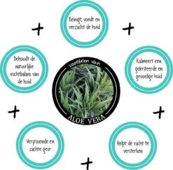 Greenfields Vacht Verzorging Set Voor Honden Shampoo, Conditioner & Droogshampoo -Honden Huis Winkel 1200x1182 1