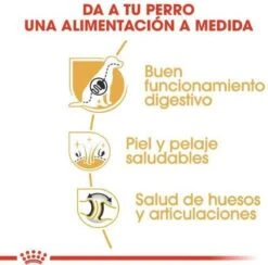 Royal Canin German Shepherd Adult 11 KG -Honden Huis Winkel 1200x1183 5