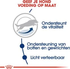 Royal Canin Maxi Adult 5+ Jaar Oud - Hondenvoer - 15 Kg -Honden Huis Winkel 1200x1190 11