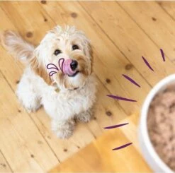 Merkloos Edgard & Cooper Hondenvoer Multipack Kip - Wild - Lam 6 X 100 Gr -Honden Huis Winkel 1200x1190 14