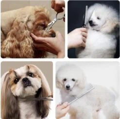 VoordeelShop 7-Delige Huisdier Knipset Met Etui - Trimmen Hond - Honden Schaar - Effileerschaar Hond - Huisdier Trimmer - Huisdier Knippen - Knipschaar Haar - Haar Schaar - Kapper - Kapperset - Scharenset 29 VoordeelShop 7-Delige Huisdier Knipset Met Etui - Trimmen Hond - Honden Schaar - Effileerschaar Hond - Huisdier Trimmer - Huisdier Knippen - Knipschaar Haar - Haar Schaar - Kapper - Kapperset - Scharenset -Honden Huis Winkel 1200x1190 3