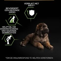 Pro Plan Healthy Start Puppy Large Robust - Honden Droogvoer - Kip - 12 Kg -Honden Huis Winkel 1200x1194 3