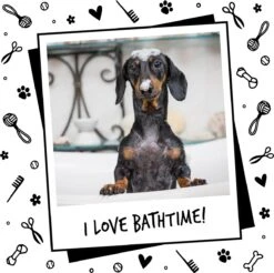 Bugalugs - Hondenshampoo - One In A Million - Alle Vachttypes - Fles Met Pompje - Vegan - 500 Ml -Honden Huis Winkel 1200x1196 3