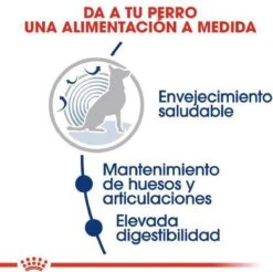 Royal Canin Maxi Ageing 8+ 15 KG -Honden Huis Winkel 1200x1197 12