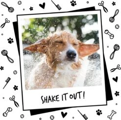 Bugalugs - Hondenshampoo - One In A Million - Alle Vachttypes - Fles Met Pompje - Vegan - 500 Ml -Honden Huis Winkel 1200x1197 6