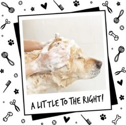 Bugalugs - Hondenshampoo - One In A Million - Alle Vachttypes - Fles Met Pompje - Vegan - 500 Ml -Honden Huis Winkel 1200x1197 8