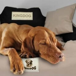 Kingdog - Honden- En Kattenbed 55 X 45 | Zwart - Maat S -Honden Huis Winkel 1200x1198 15