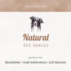 Antos Runderoor Smoked Rund Hondensnack - 280 G - 10 Stuks -Honden Huis Winkel 1200x1199 13