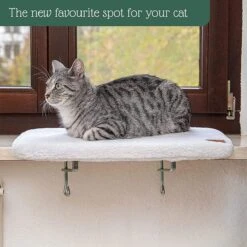 Pfotenolymp® Premium Window Baars/Krabmat Voor Katten Bij Het Raam - Vensterbank/Kattenbank Voor De Vensterbank - Zit/Ligstoel Voor Katten -Honden Huis Winkel 1200x1199 17