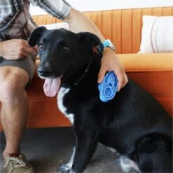 Kong Zoom Groom Hond 11 Kong Zoom Groom Hond -Honden Huis Winkel 1200x1199