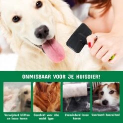 Mister Mill Professionele Set Honden Kattenborstel - Ondervachtkam Plus Slickerborstel -Honden Huis Winkel 1200x1200 102
