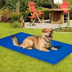 Koeling Mat Voor Huisdieren - 60 X 80 Cm -Honden Huis Winkel 1200x1200 1020