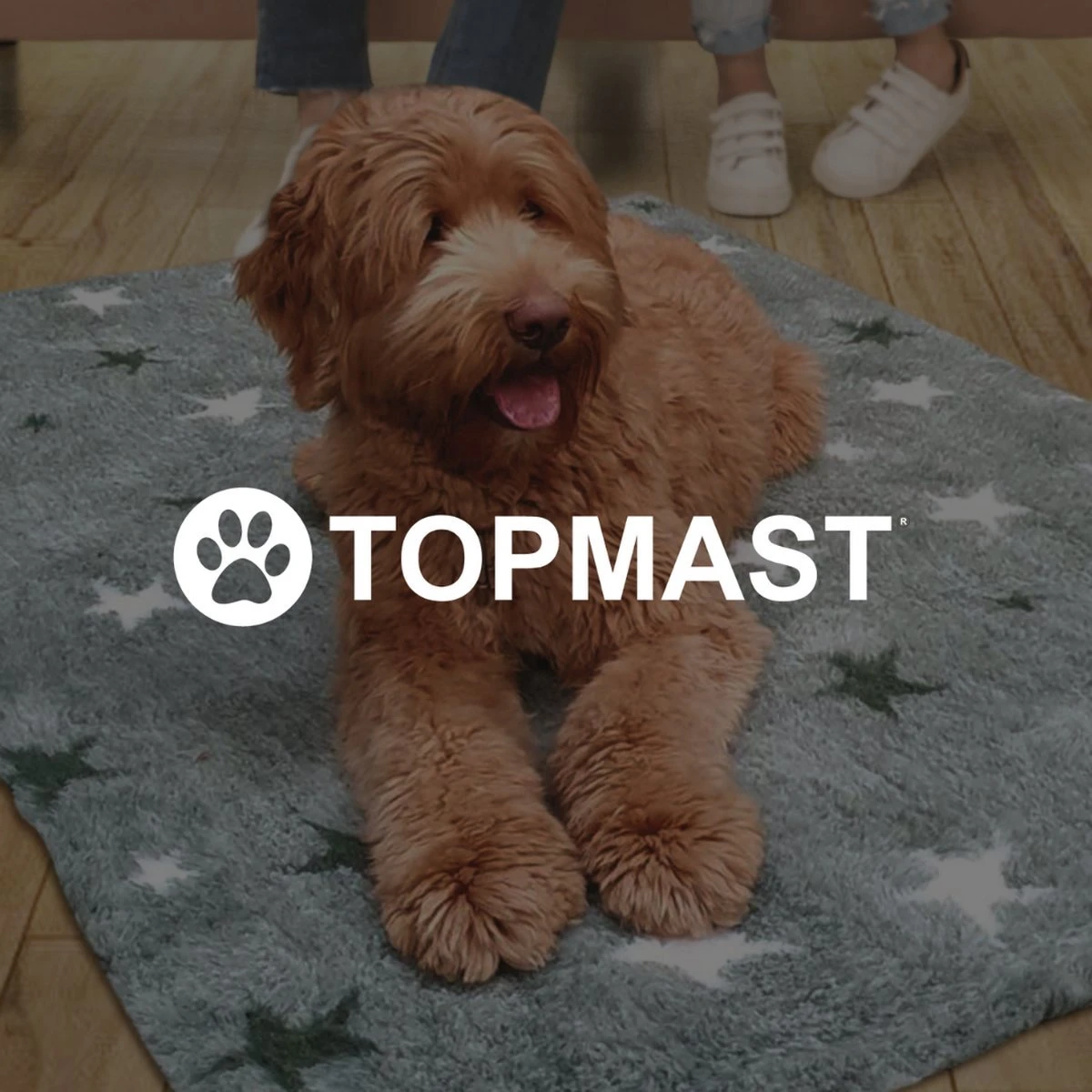 Vetbed Effen Lichtbruin - Antislip Hondenmat - 2 Stuks - 75 X 50 Cm - Benchmat - Hondenkleed - Voor Honden - Machine Wasbaar 2 Vetbed Effen Lichtbruin - Antislip Hondenmat - 2 Stuks - 75 X 50 Cm - Benchmat - Hondenkleed - Voor Honden - Machine Wasbaar - Afbeelding 2