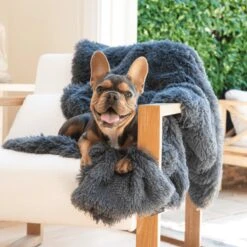 Fluffy Blanket - Pluche Hondendeken - 120 X 100 CM - Grijs - Voor De Auto Of Bank - Fleece 8 Fluffy Blanket - Pluche Hondendeken - 120 X 100 CM - Grijs - Voor De Auto Of Bank - Fleece -Honden Huis Winkel 1200x1200 1069