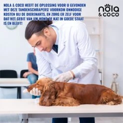 Nola & Coco® Tandsteen Verwijderaar Set Inclusief Bewaardoosje - Tandenkrabber - Set Van Twee - Hond - Kat - Tandenborstel - Tandplak Verwijderen - Tandenstoker - Honden Tanden Schoonmaken - Tandenhaakje - Gebitsreiniging -Honden Huis Winkel 1200x1200 1080