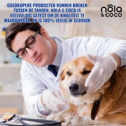 Nola & Coco® Tandsteen Verwijderaar Set Inclusief Bewaardoosje - Tandenkrabber - Set Van Twee - Hond - Kat - Tandenborstel - Tandplak Verwijderen - Tandenstoker - Honden Tanden Schoonmaken - Tandenhaakje - Gebitsreiniging -Honden Huis Winkel 1200x1200 1081