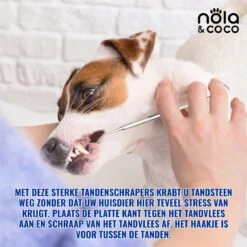 Nola & Coco® Tandsteen Verwijderaar Set Inclusief Bewaardoosje - Tandenkrabber - Set Van Twee - Hond - Kat - Tandenborstel - Tandplak Verwijderen - Tandenstoker - Honden Tanden Schoonmaken - Tandenhaakje - Gebitsreiniging -Honden Huis Winkel 1200x1200 1083