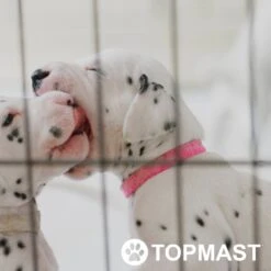 Topmast Puppyren Uitvouwbaar - Zwart - 560 Cm Omtrek - 60 Cm Hoog - Opvouwbaar XL - Hondenren -Honden Huis Winkel 1200x1200 1124