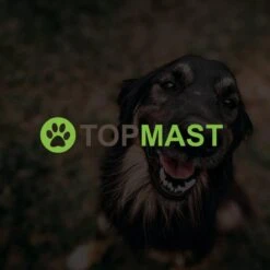 Merkloos Topmast Premium Puppyren - 120 Cm Hoog - 640 Cm Omtrek - Hondenren - Hondenhok - Zwart -Honden Huis Winkel 1200x1200 1173