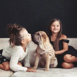 Relaxdays Puppyren - Hondenren - Puppykennel - Konijnenren - Bodem - Metaal - Div. Grootte - M -Honden Huis Winkel 1200x1200 1182