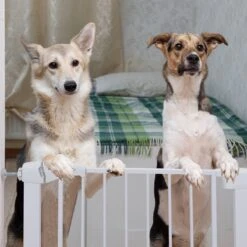 Nobleza 47B4V - Hondenhek - Metaal - H76 X L75-82 Cm - Wit -Honden Huis Winkel 1200x1200 1197