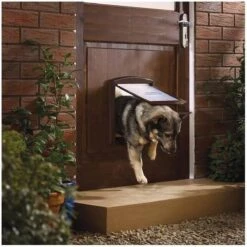 Petsafe 757 Hondenluik - Medium - Zilver/Tranparant -Honden Huis Winkel 1200x1200 1236