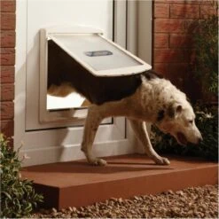 Petsafe 760 Hondenluik - L - Wit - 37 X 31,4 Cm 25 Petsafe 760 Hondenluik - L - Wit - 37 X 31,4 Cm -Honden Huis Winkel 1200x1200 1240