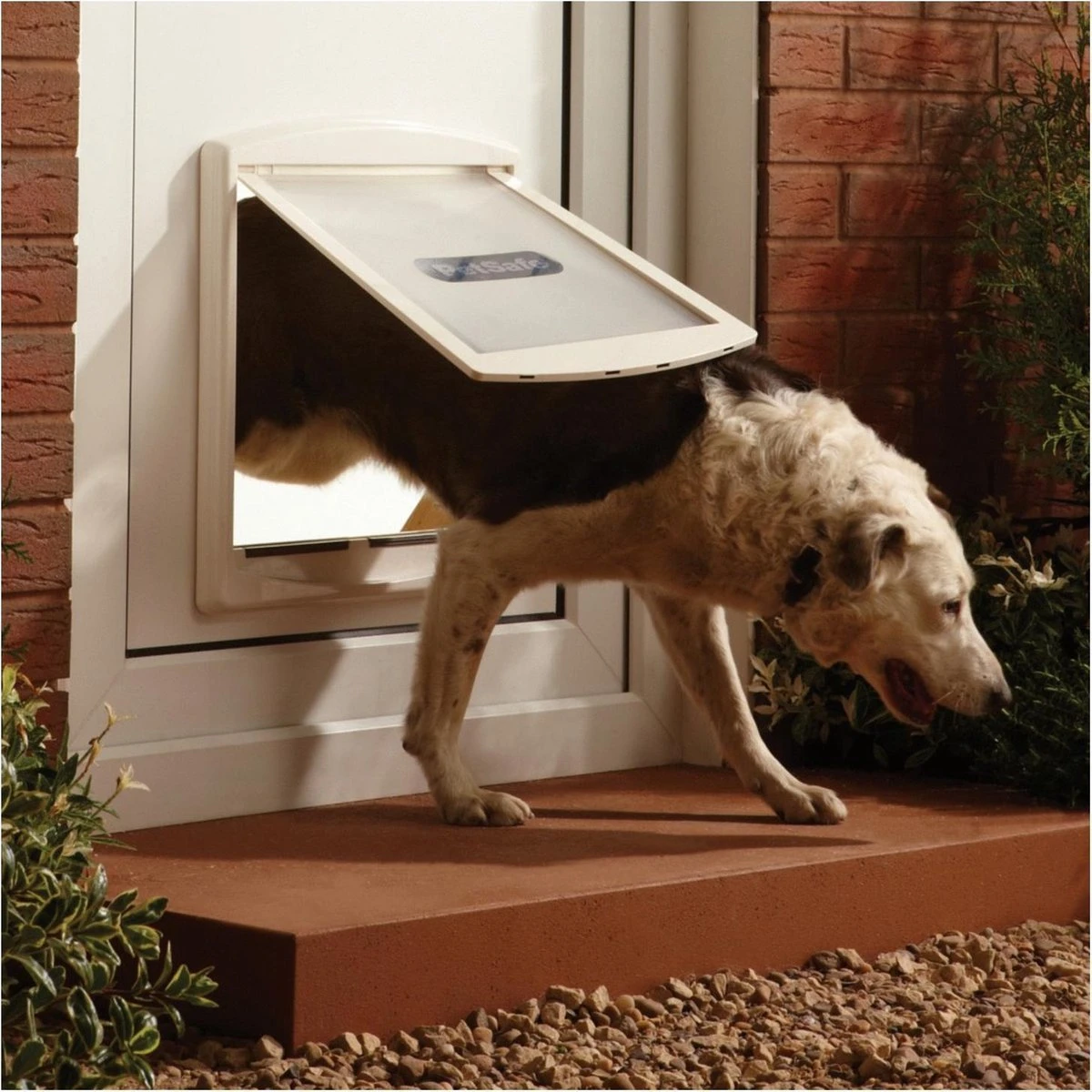 Petsafe 760 Hondenluik - L - Wit - 37 X 31,4 Cm 10 Petsafe 760 Hondenluik - L - Wit - 37 X 31,4 Cm - Afbeelding 10