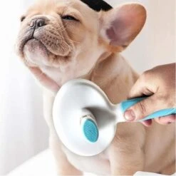 Merkloos Dierenborstel - Haarborstel Huisdieren - Borstel Voor Vacht Huisdier - Borstel Kat - Borstel Hond - Makkelijk Haar Verwijderen Met één Klik - Inclusief Speeltje - Kam Huisdier - Vachtverzorging - Massage -Honden Huis Winkel 1200x1200 126