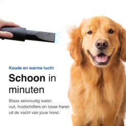 Vivid Green Waterblazer Met 3 Opzetstukken - Hondenfohn - Voor Honden - Met Geluiddemper - 2800W -Honden Huis Winkel 1200x1200 16