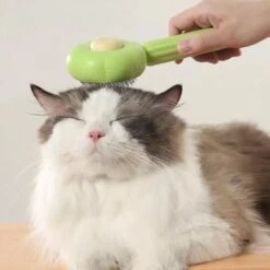 QT Petshop - Haarverwijderaar Voor Huisdieren - Groene Kattenborstel - Furminator Hondenborstel - Anti-Klit - Diervriendelijk - Dierenverzorging 11 QT Petshop - Haarverwijderaar Voor Huisdieren - Groene Kattenborstel - Furminator Hondenborstel - Anti-Klit - Diervriendelijk - Dierenverzorging -Honden Huis Winkel 1200x1200 199