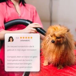 Qumax Professionele Hondenföhn Met 4 Opzetstukken – Waterblazer Voor Honden – Stil Design – Compact En Modern - Zwart -Honden Huis Winkel 1200x1200 259